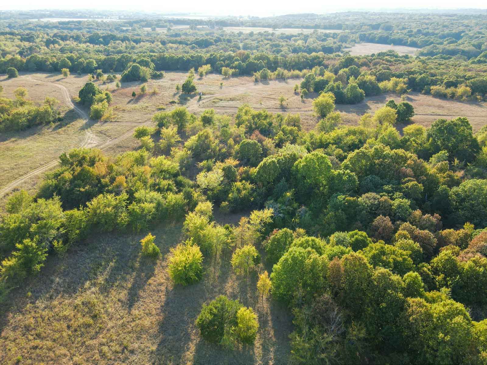 School Valley Ranch property picture 70 of 123