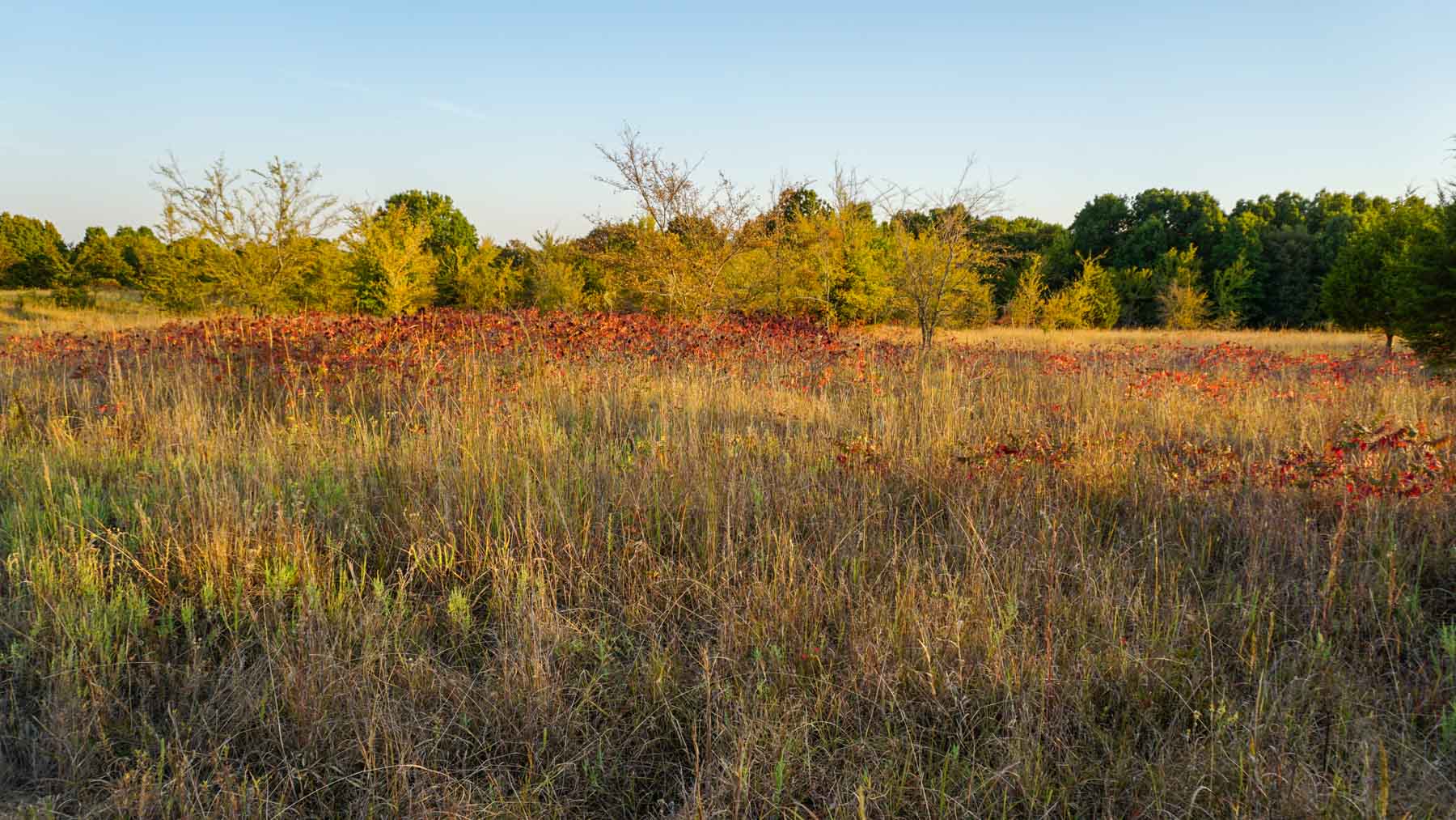 School Valley Ranch property picture 82 of 123