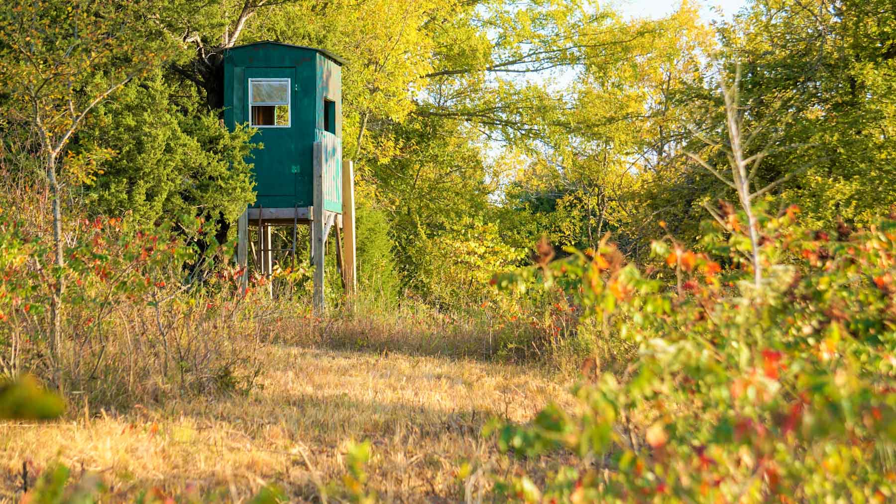 School Valley Ranch property picture 64 of 123