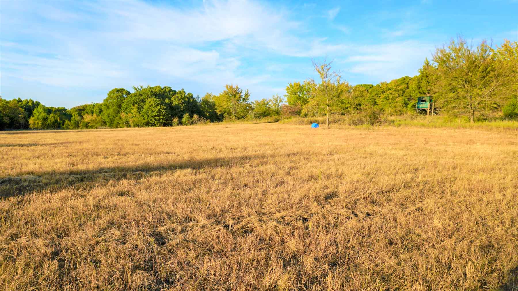 School Valley Ranch property picture 76 of 123