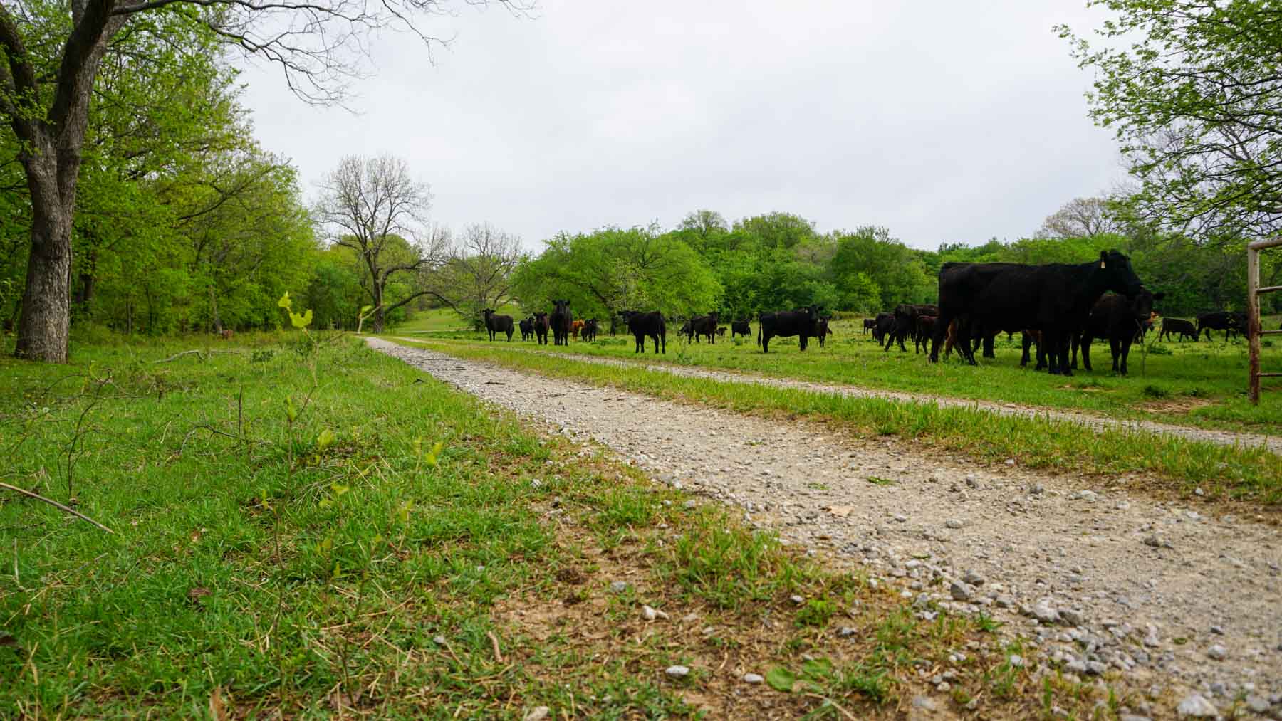 School Valley Ranch property picture 4 of 123