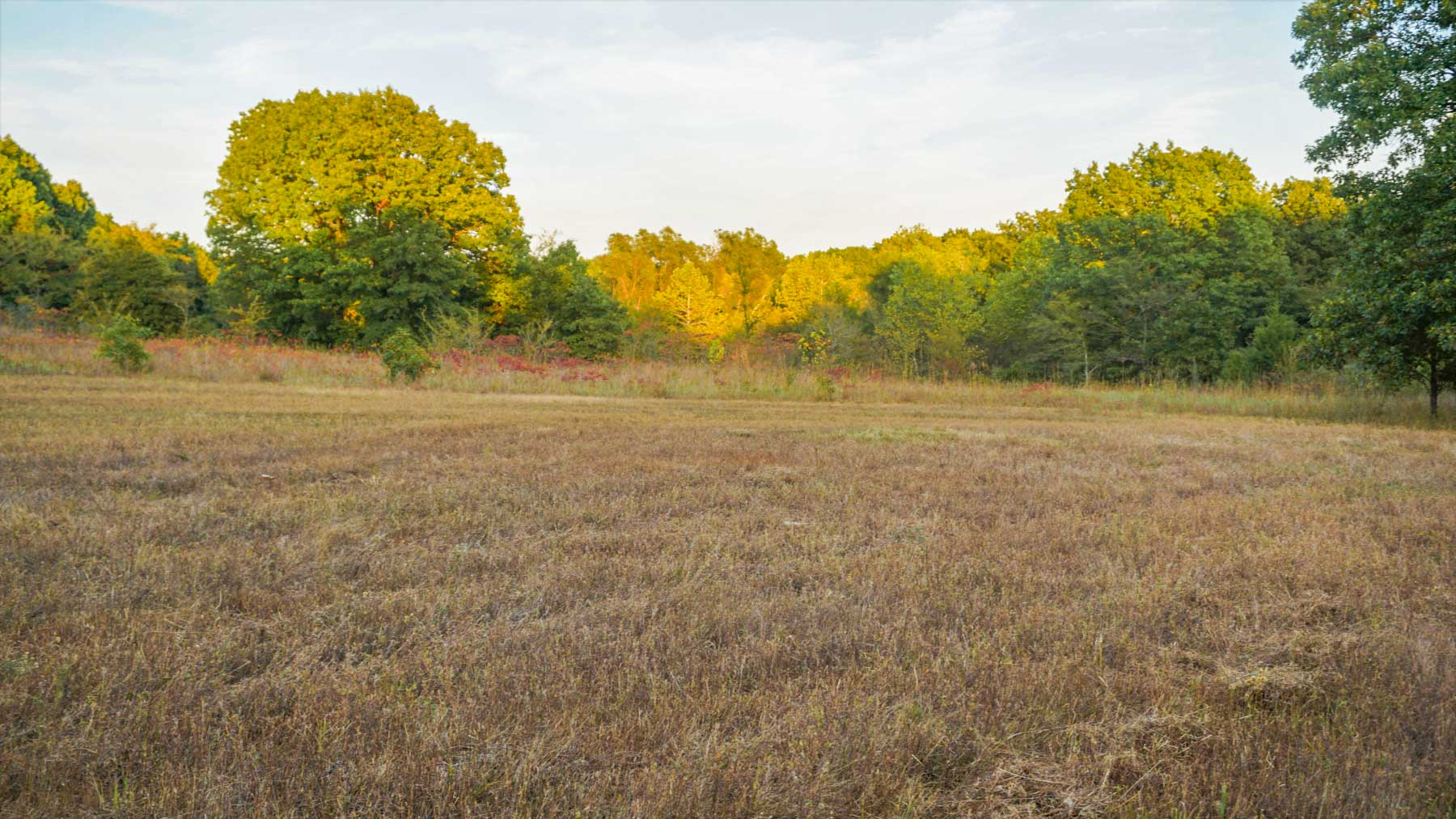 School Valley Ranch property picture 90 of 123