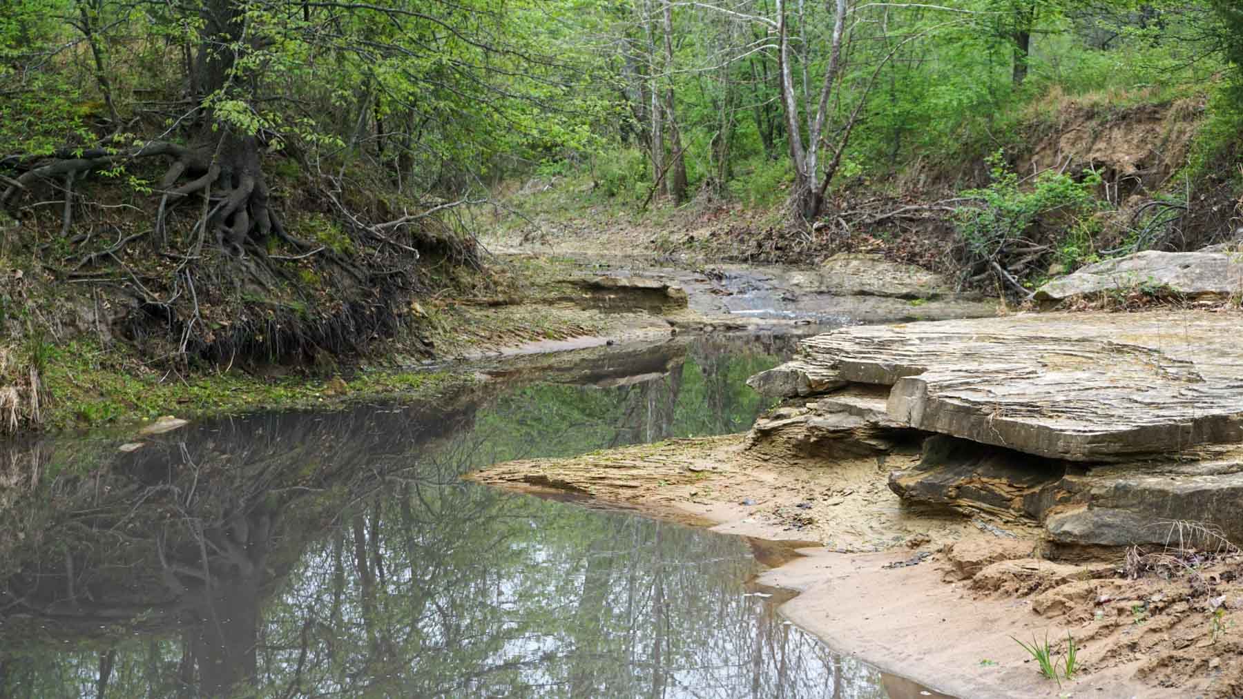 School Valley Ranch property picture 31 of 123