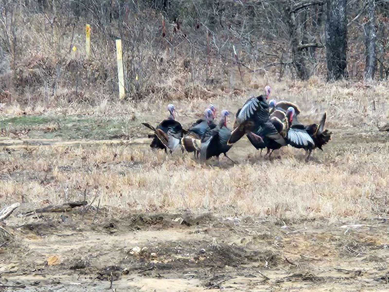 School Valley Ranch property picture 112 of 123