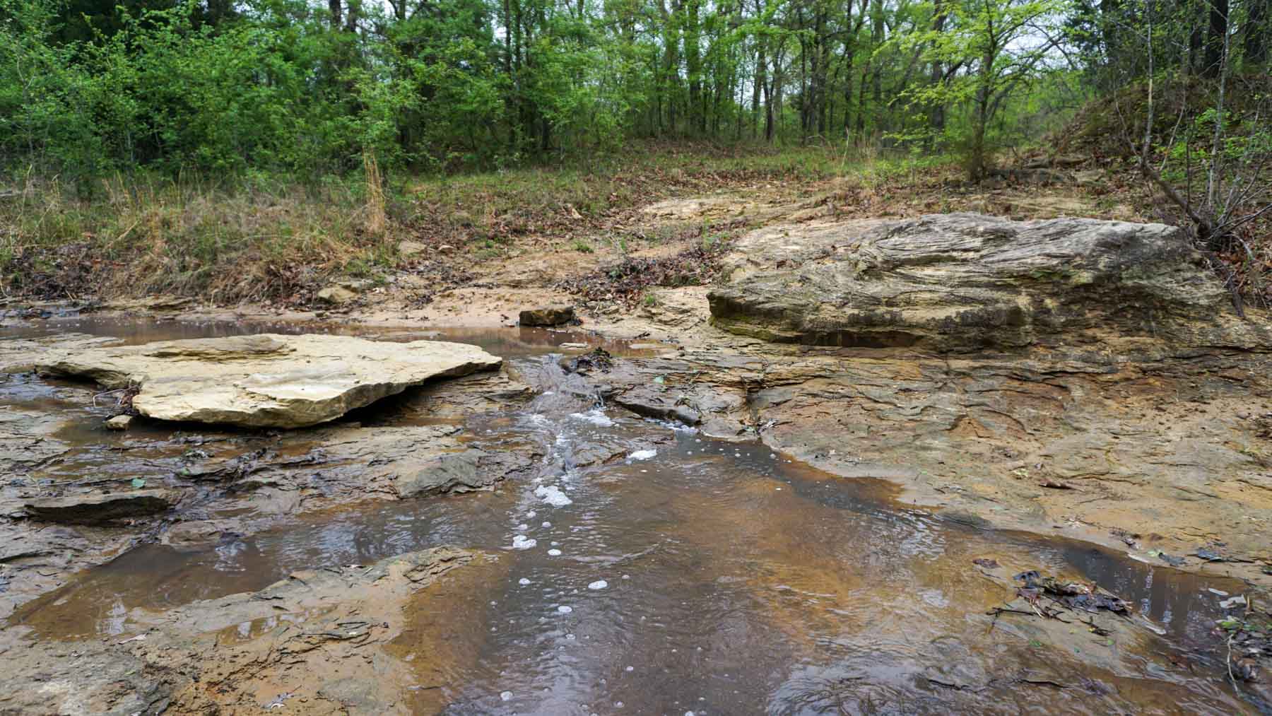 School Valley Ranch property picture 33 of 123