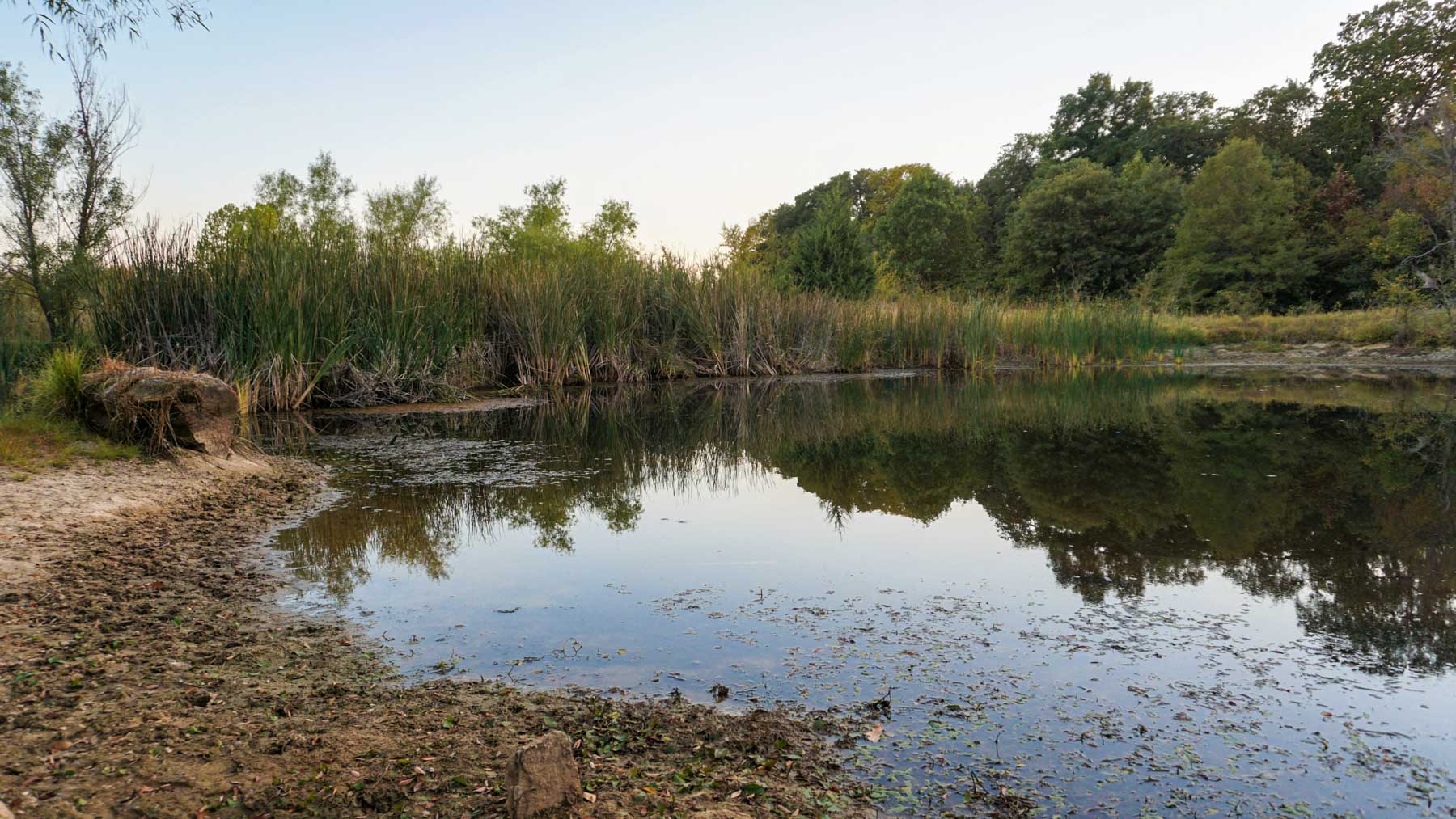 School Valley Ranch property picture 55 of 123