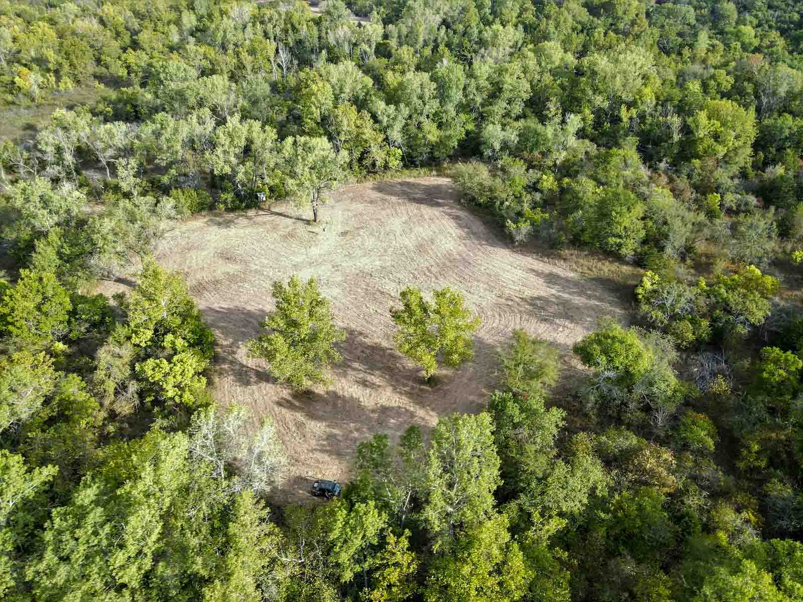 School Valley Ranch property picture 101 of 123