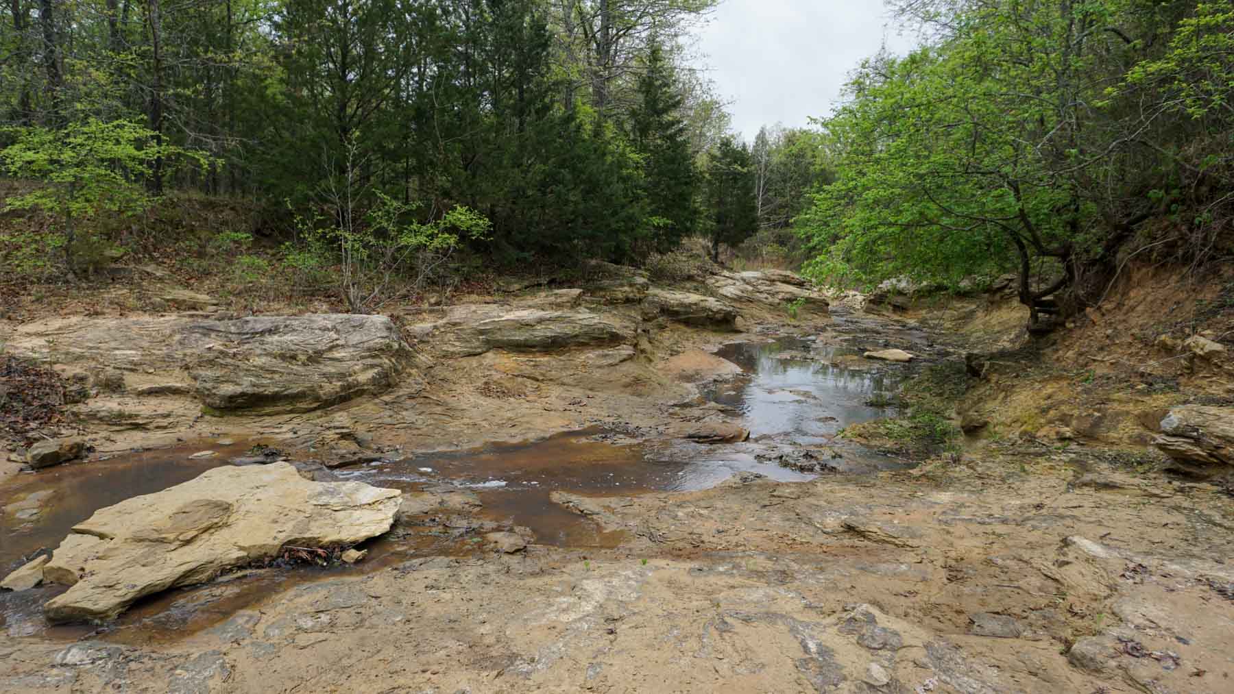 School Valley Ranch property picture 30 of 123