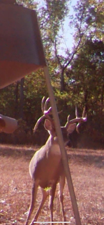 School Valley Ranch property picture 113 of 123