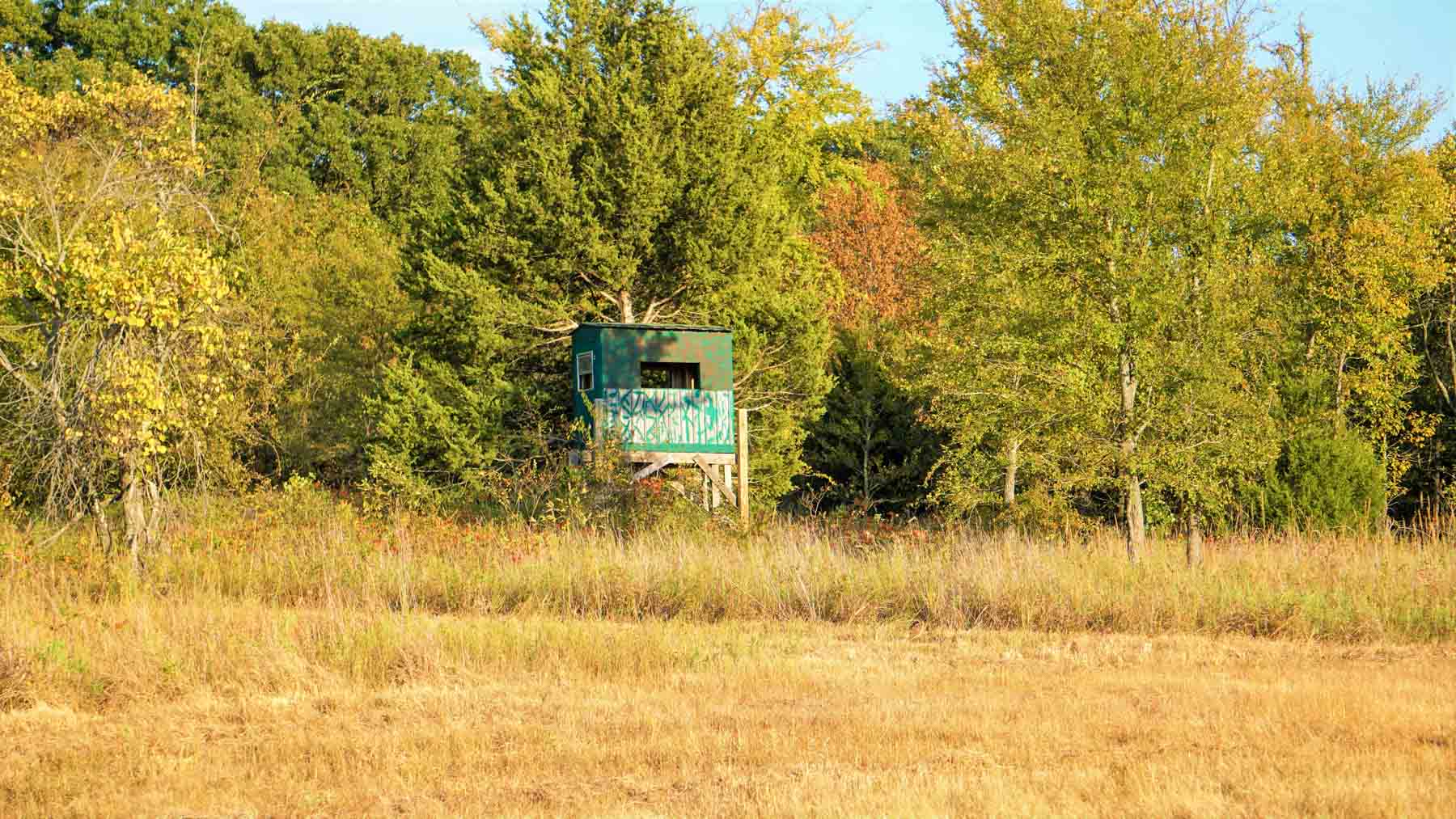 School Valley Ranch property picture 63 of 123