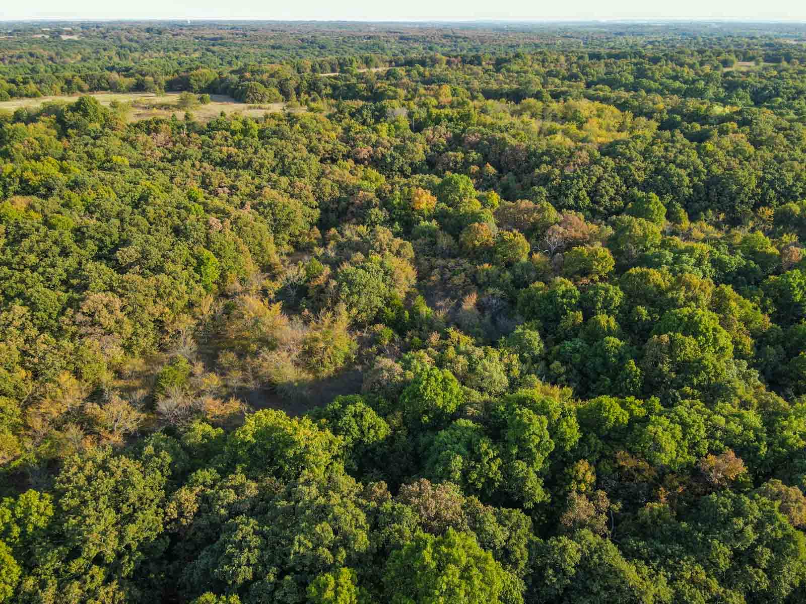 School Valley Ranch property picture 74 of 123