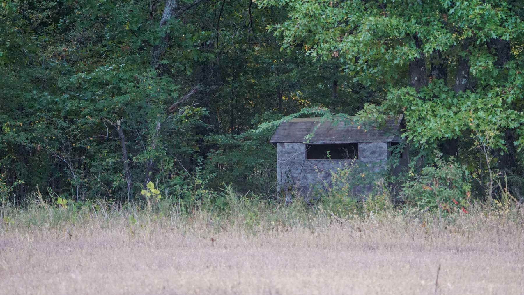 School Valley Ranch property picture 85 of 123