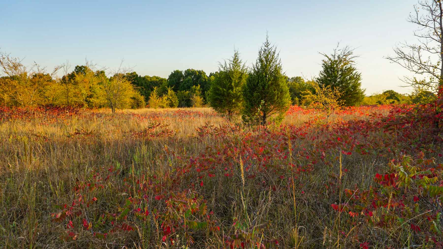 School Valley Ranch property picture 81 of 123