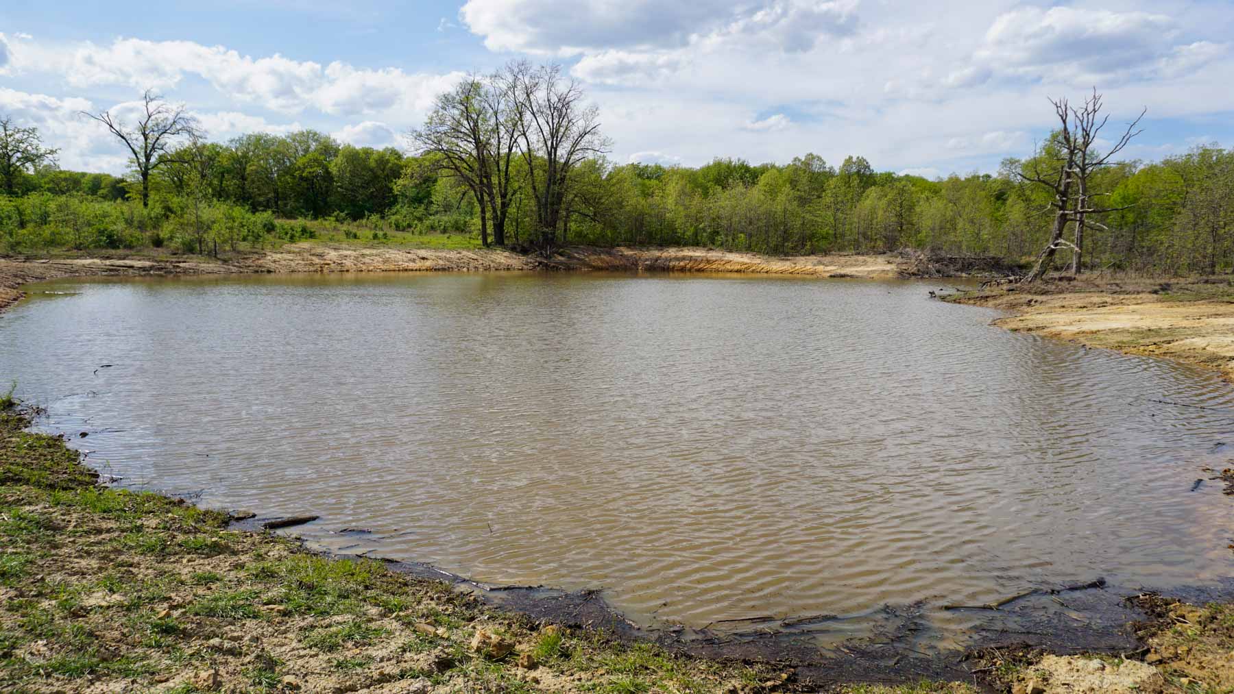 School Valley Ranch property picture 19 of 123