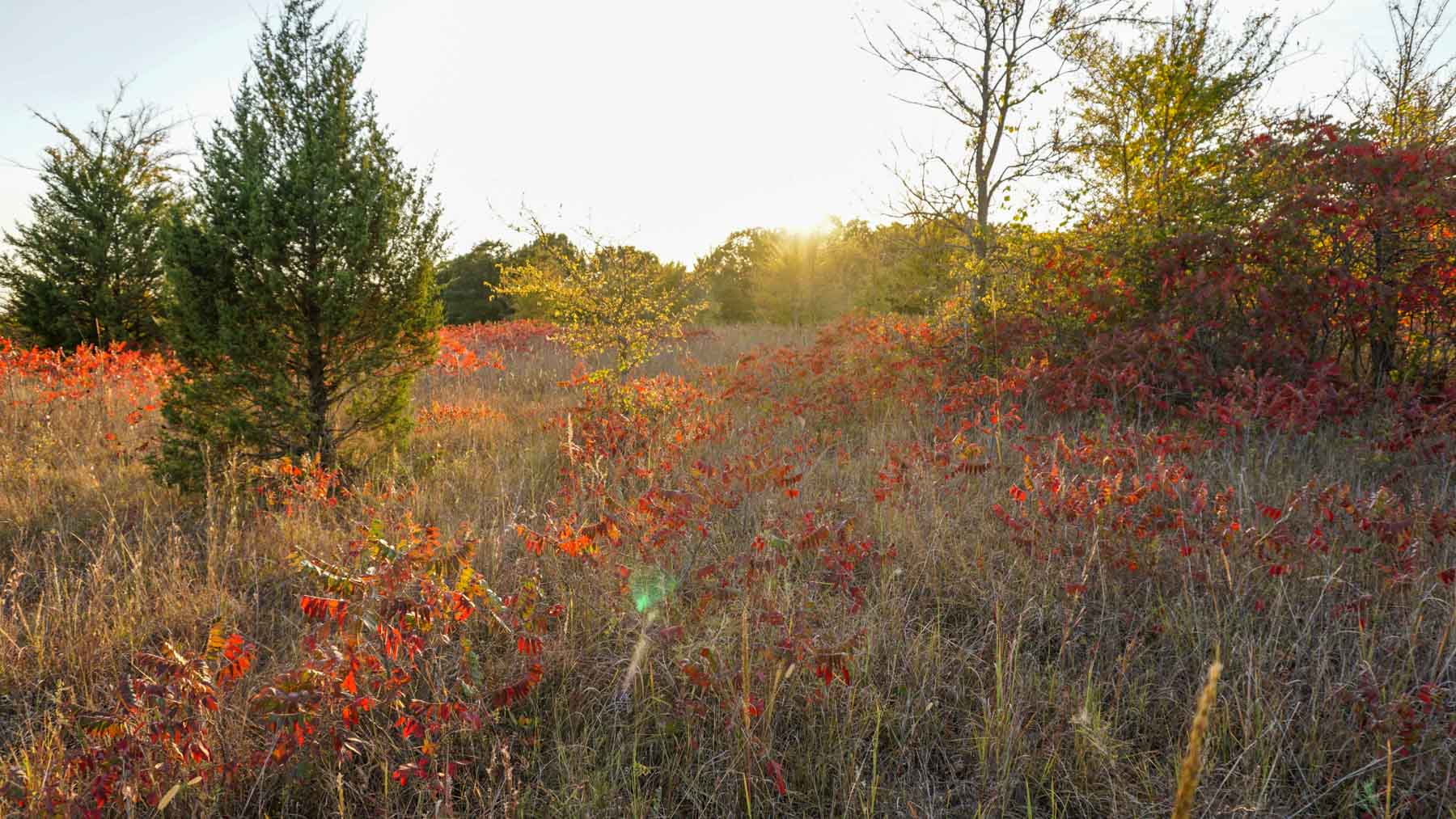 School Valley Ranch property picture 83 of 123