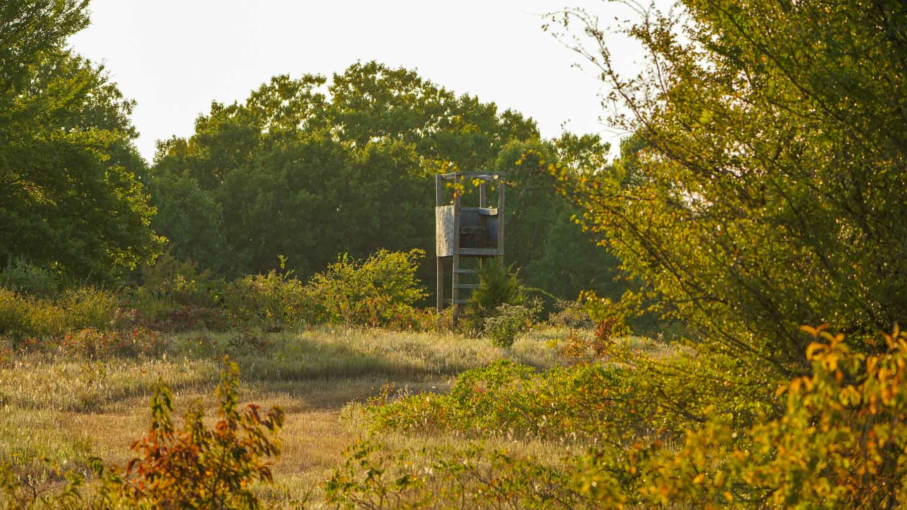 School Valley Ranch property picture 62 of 123