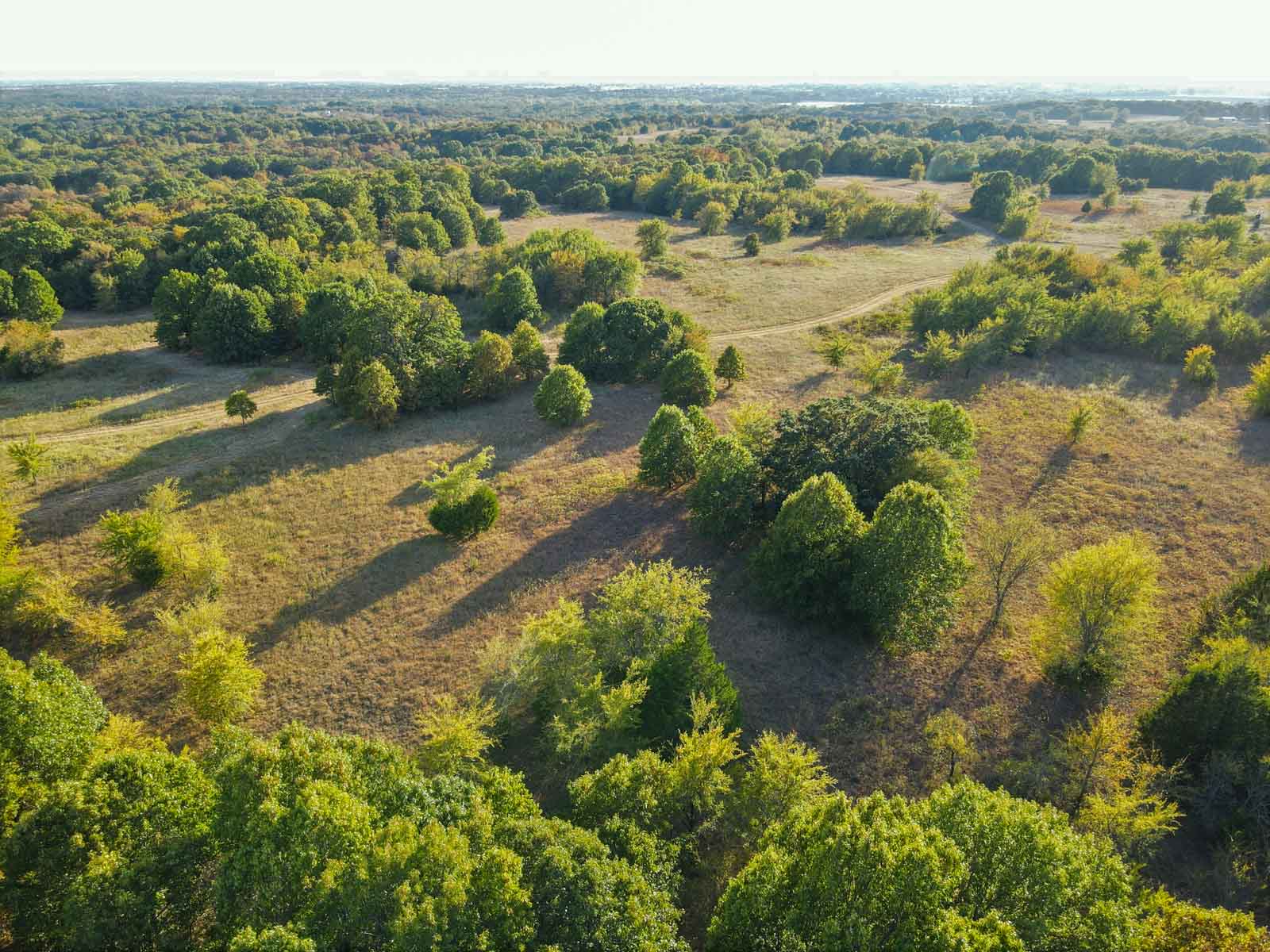 School Valley Ranch property picture 68 of 123