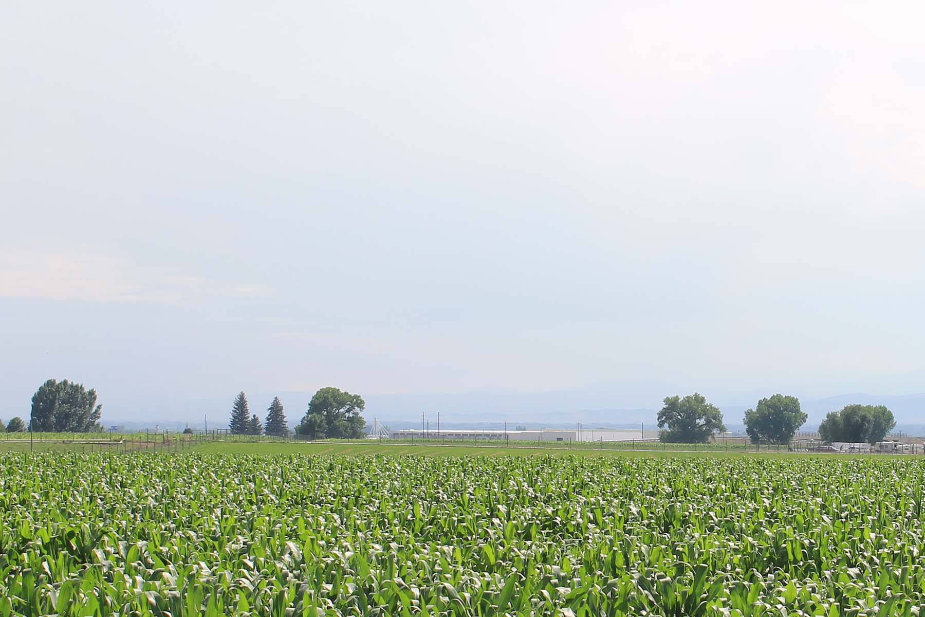 Mountain Vista Land property picture 6 of 18