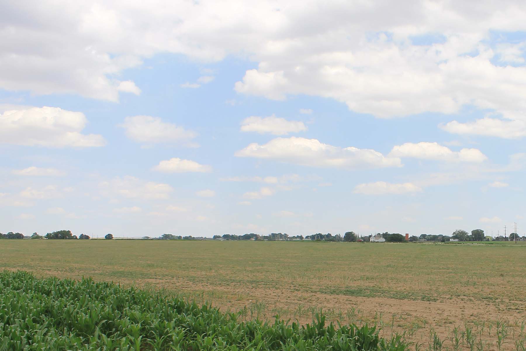 Mountain Vista Land property picture 4 of 18