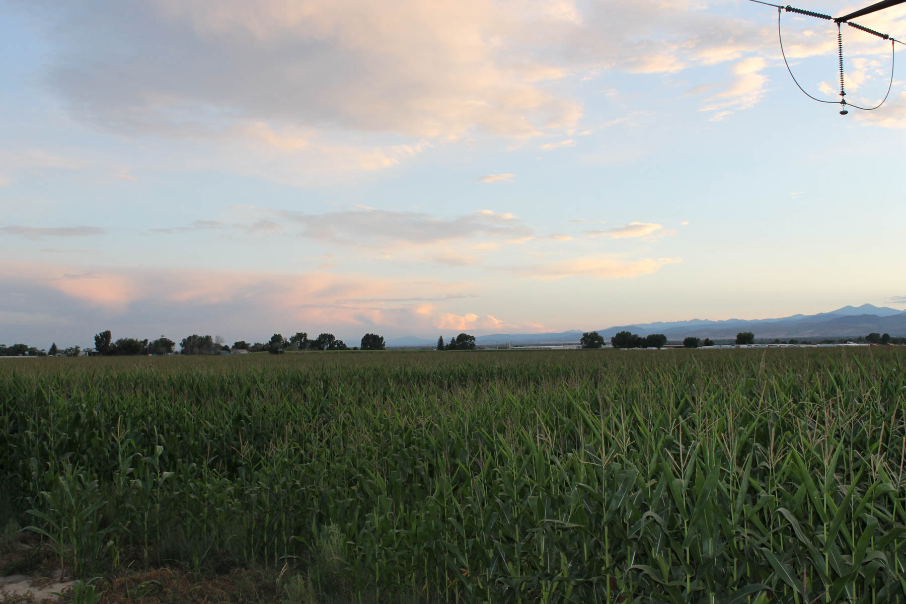 Mountain Vista Land property picture 13 of 18