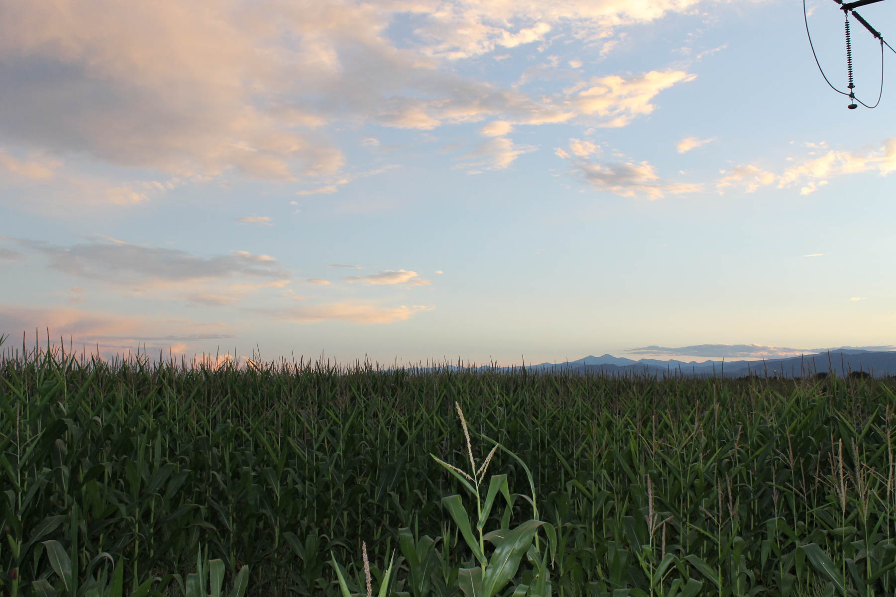 Mountain Vista Land property picture 11 of 18