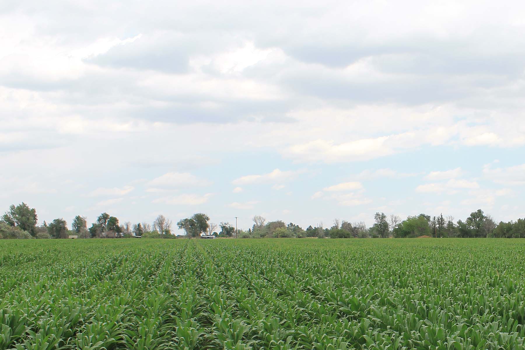 Mountain Vista Land property picture 2 of 18