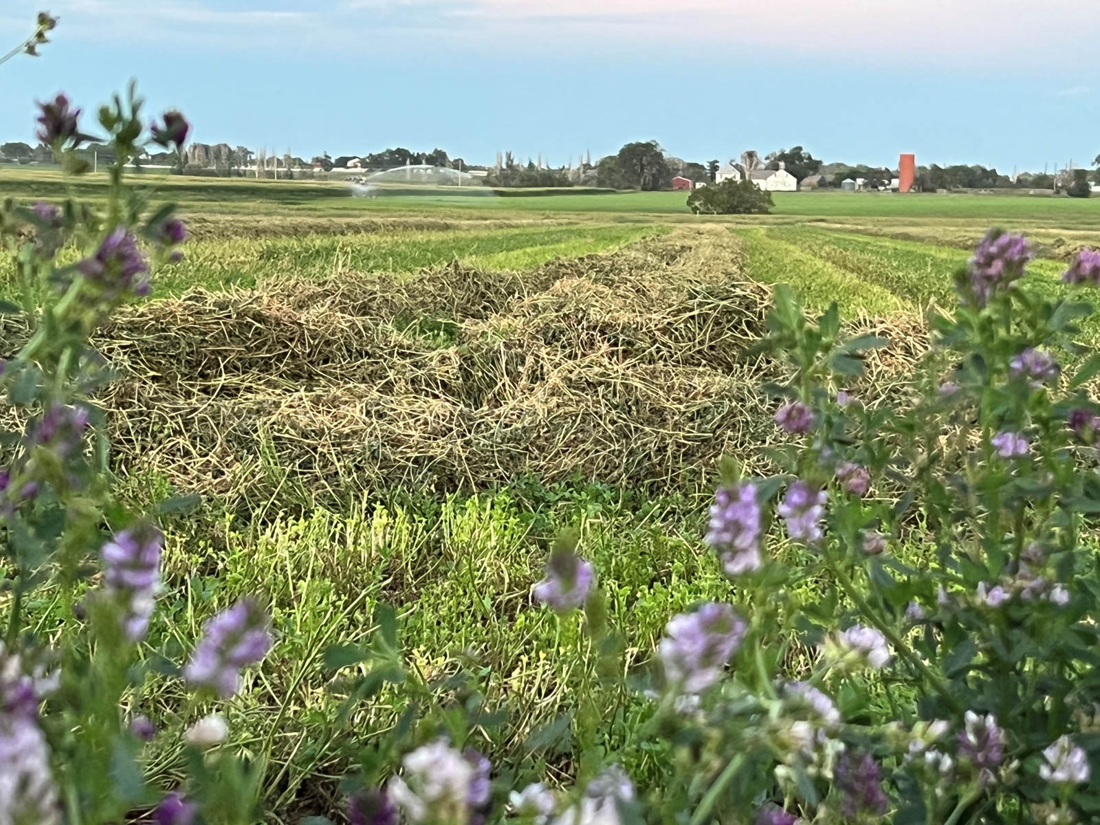 Mountain Vista Land property picture 3 of 18