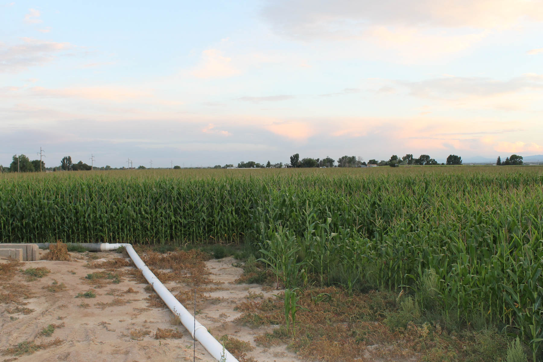 Mountain Vista Land property picture 12 of 18