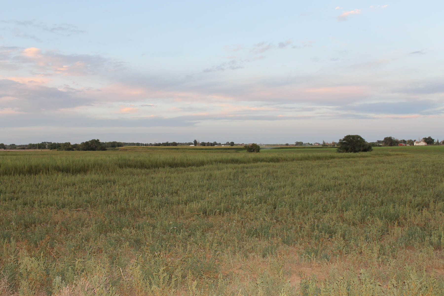 Mountain Vista Land property picture 10 of 18