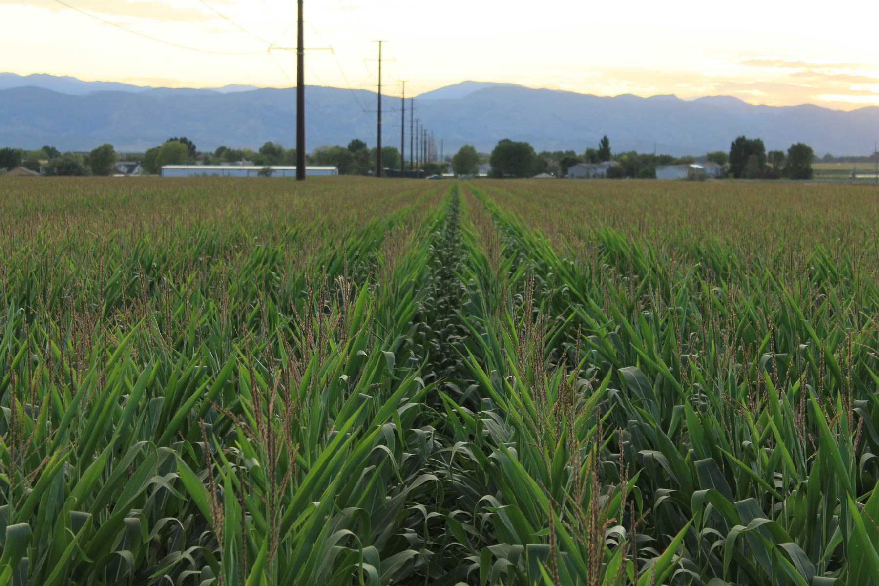 Mountain Vista Land property picture 7 of 18