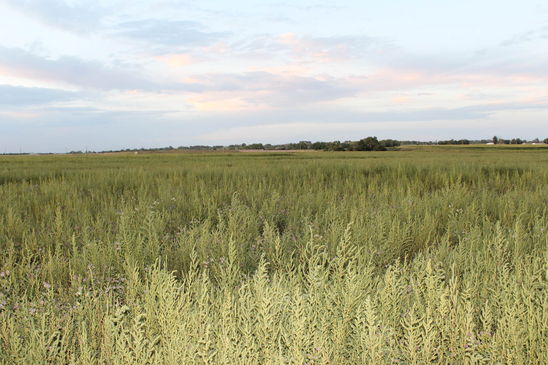 Mountain Vista Land property picture 9 of 18