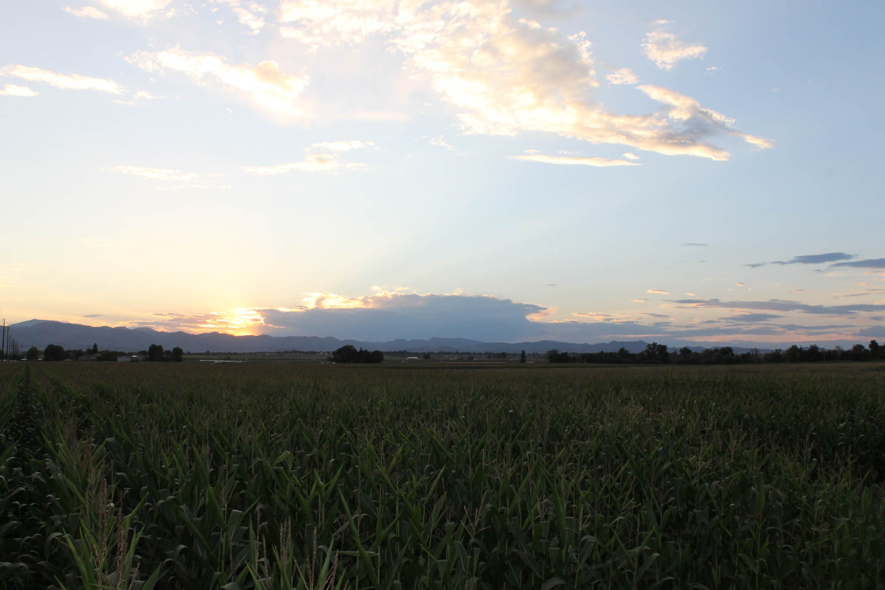 Mountain Vista Land property picture 14 of 18