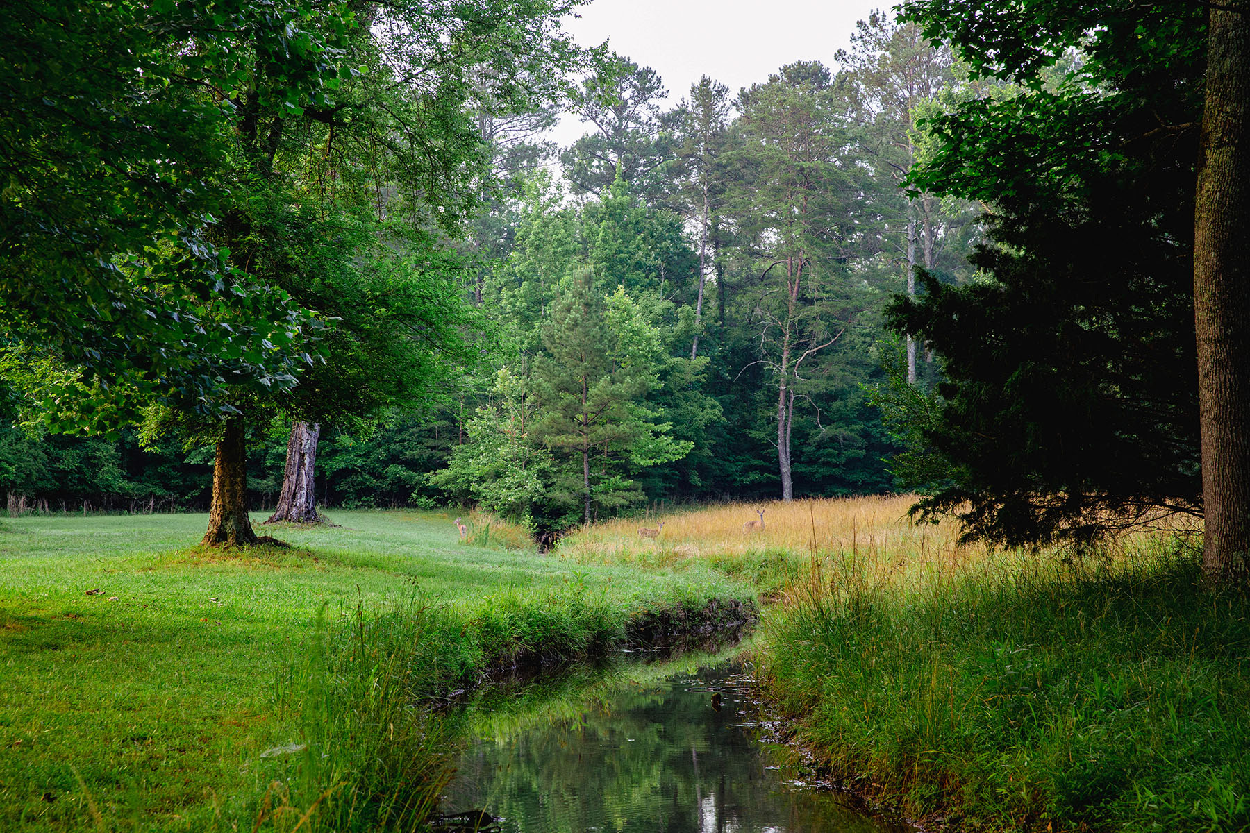 Blackberry Creek Farm Hall and Hall
