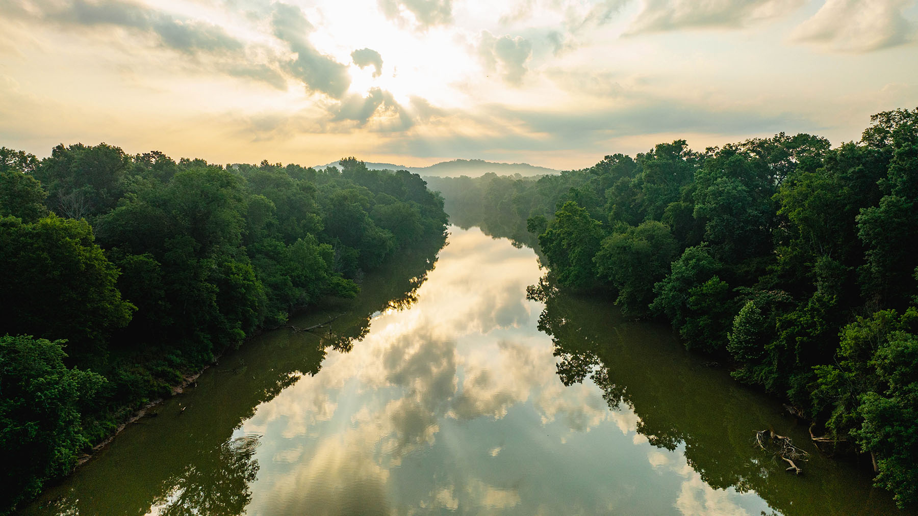 Blackberry Creek Farm property picture 91 of 91
