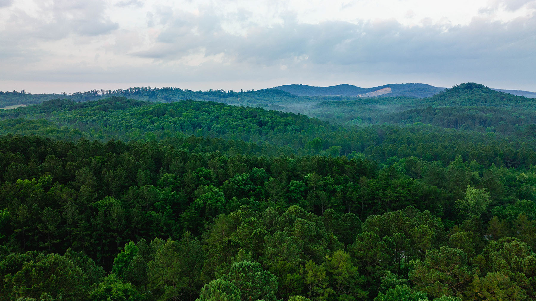 Blackberry Creek Farm property picture 89 of 91