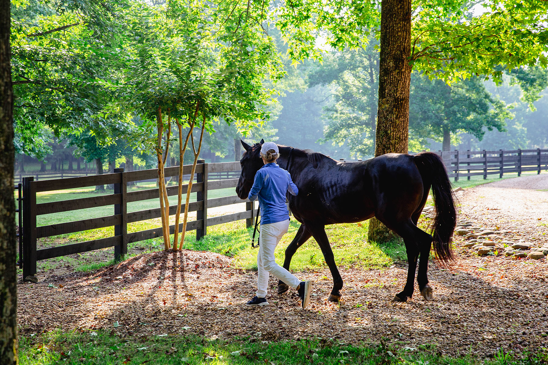 Blackberry Creek Farm property picture 66 of 91