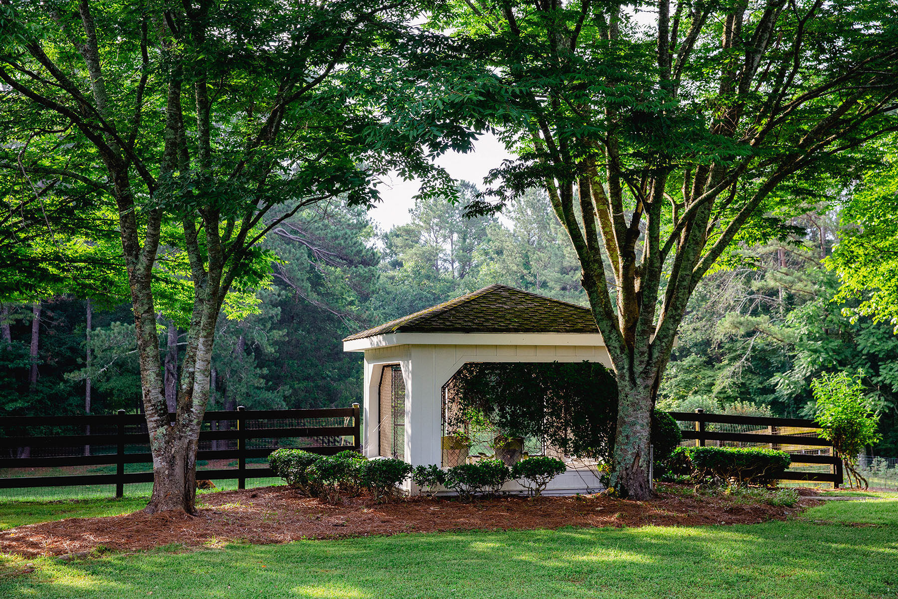 Blackberry Creek Farm property picture 46 of 91