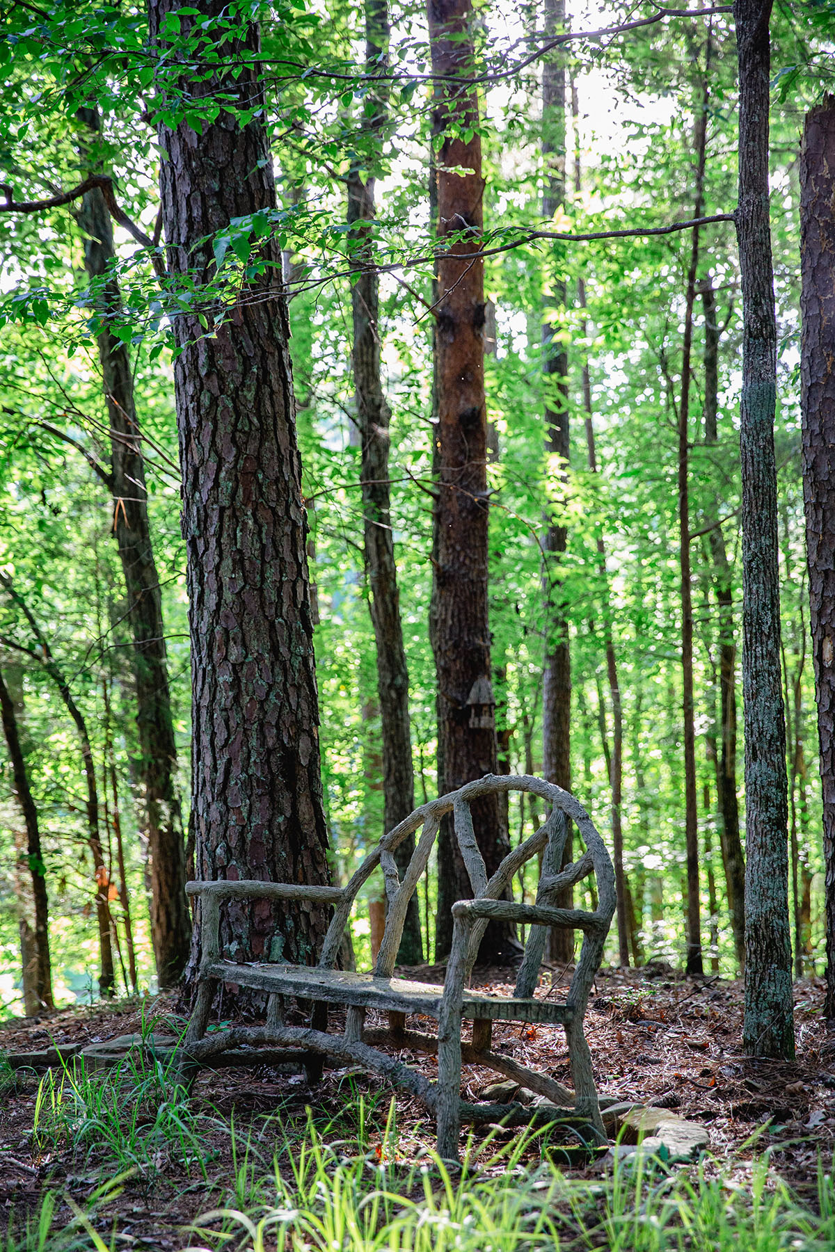 Blackberry Creek Farm property picture 79 of 91