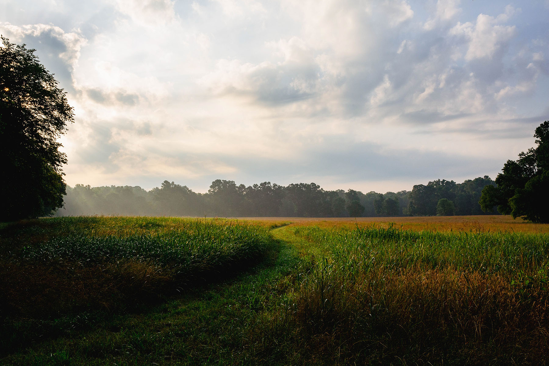 Blackberry Creek Farm property picture 50 of 91