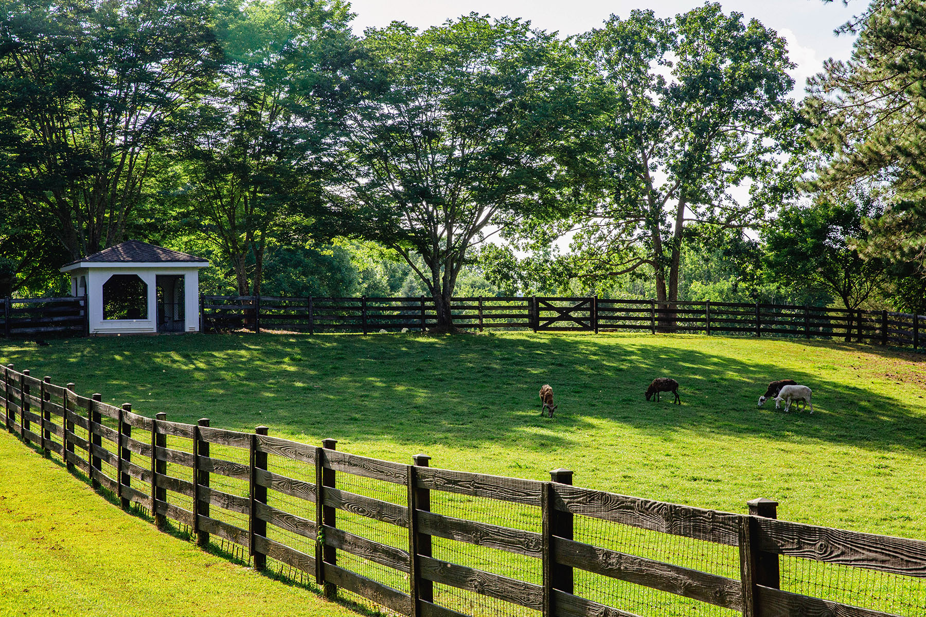 Blackberry Creek Farm property picture 45 of 91
