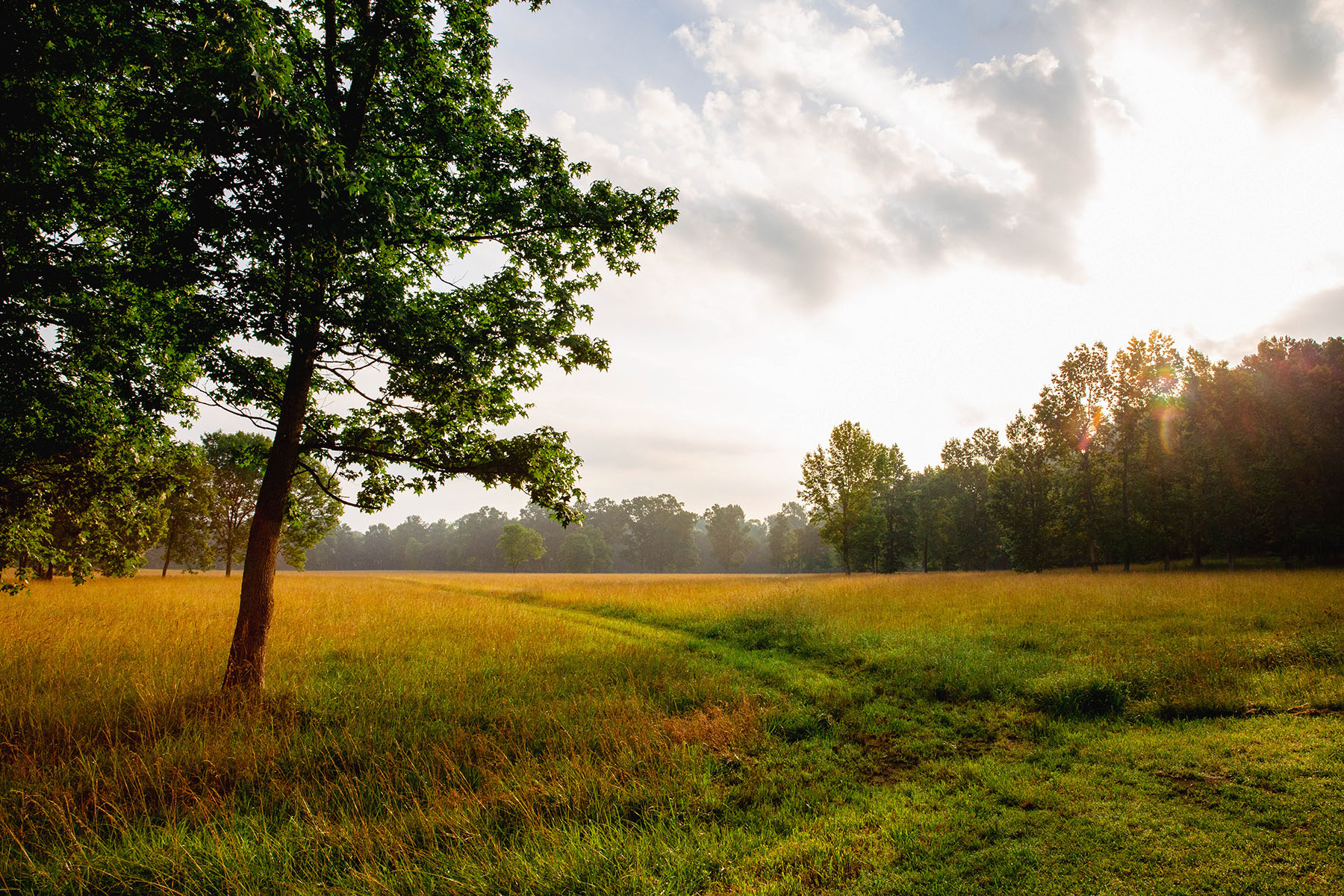 Blackberry Creek Farm property picture 85 of 91