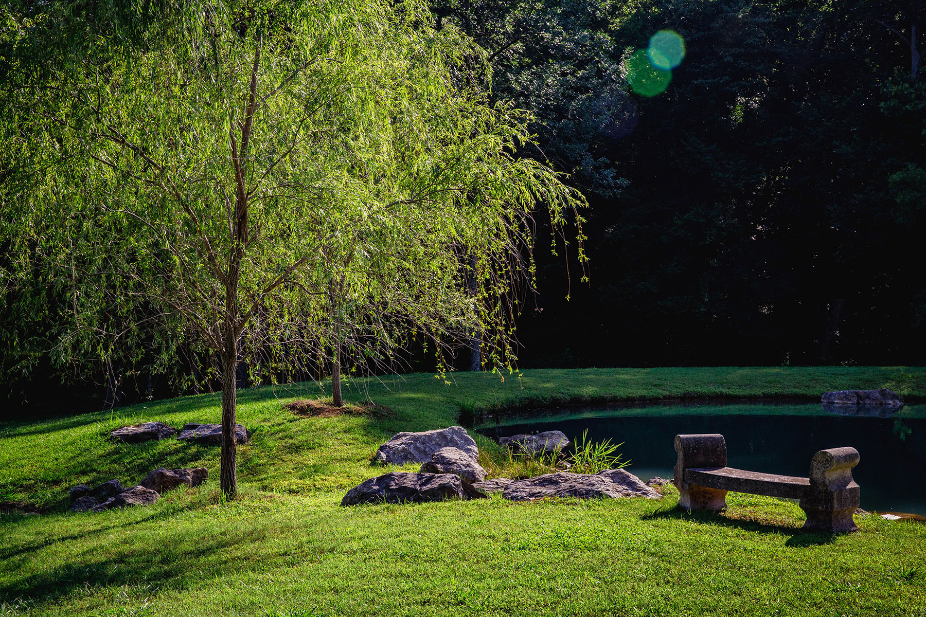 Blackberry Creek Farm property picture 55 of 91