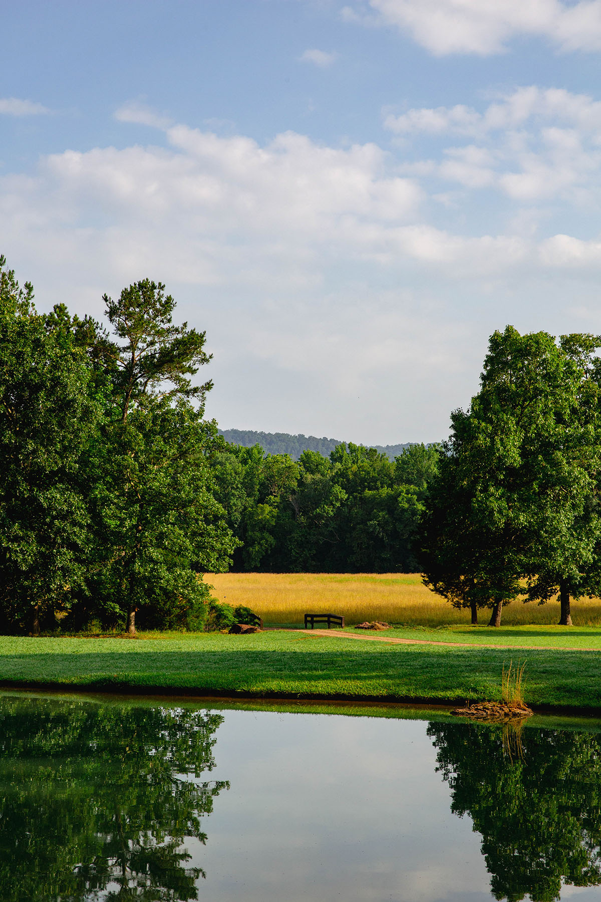 Blackberry Creek Farm property picture 53 of 91