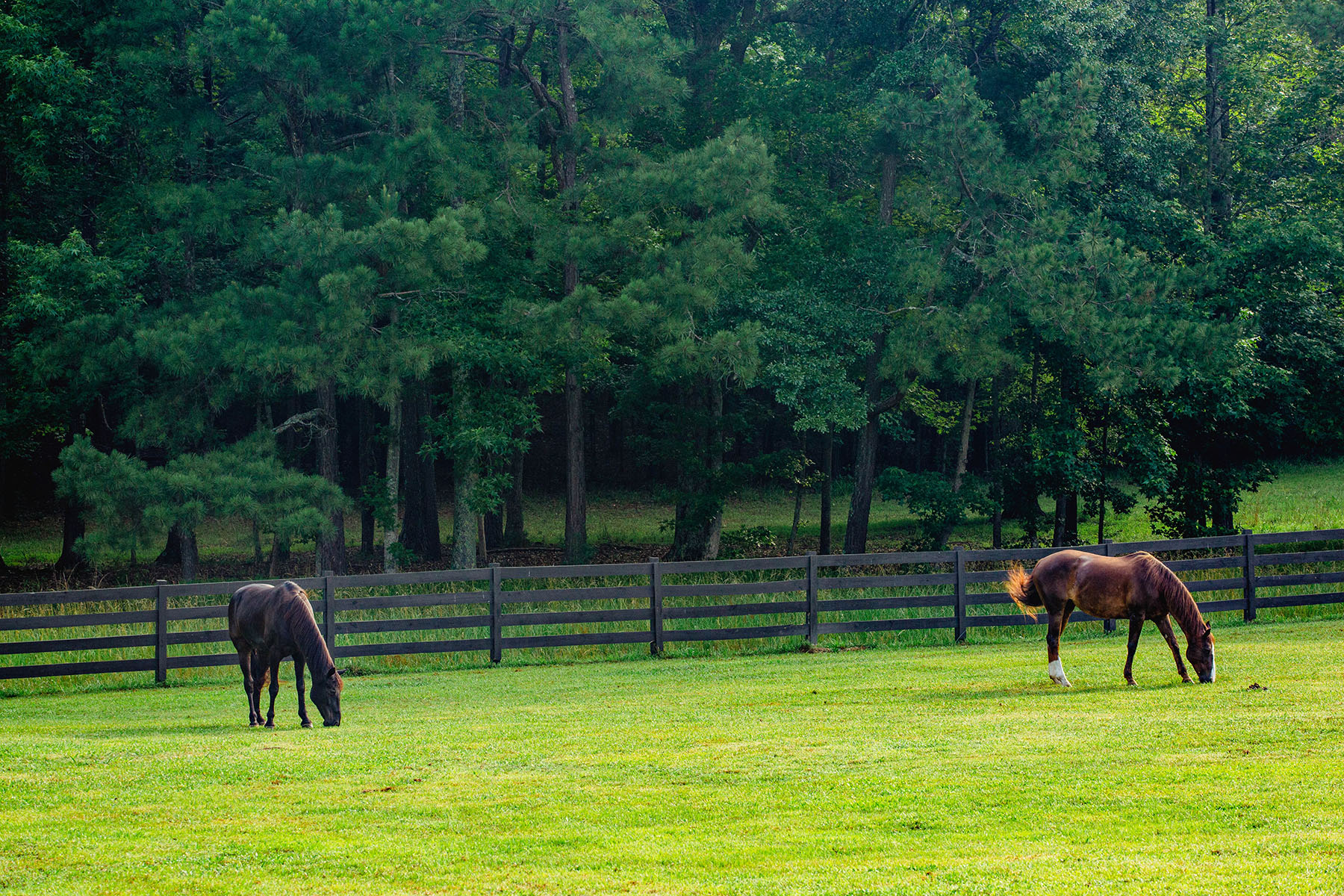 Blackberry Creek Farm property picture 68 of 91