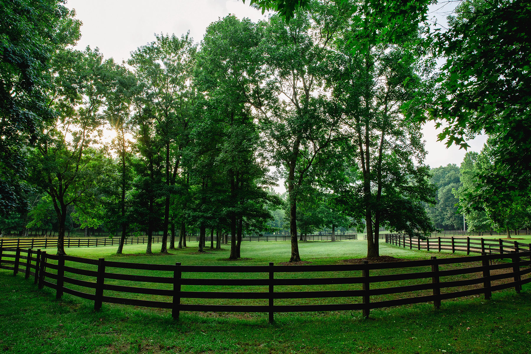 Blackberry Creek Farm property picture 69 of 91