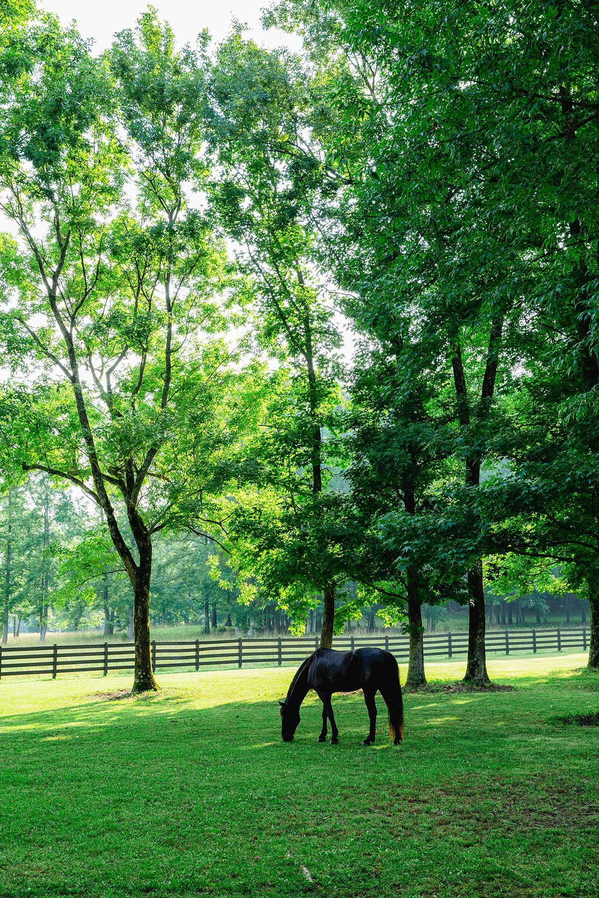 Blackberry Creek Farm Hall and Hall