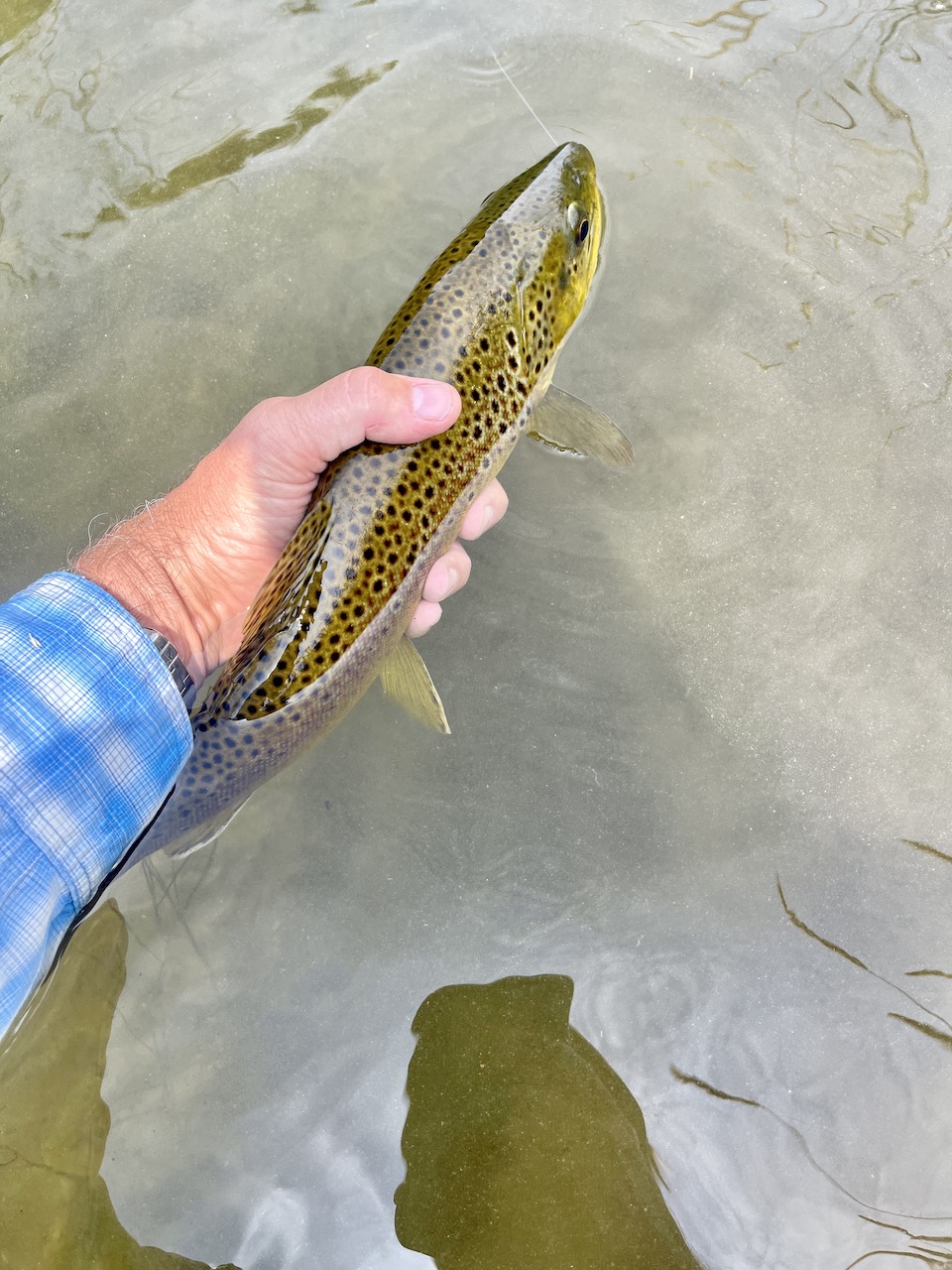 North Renegade Ranch property picture 56 of 78