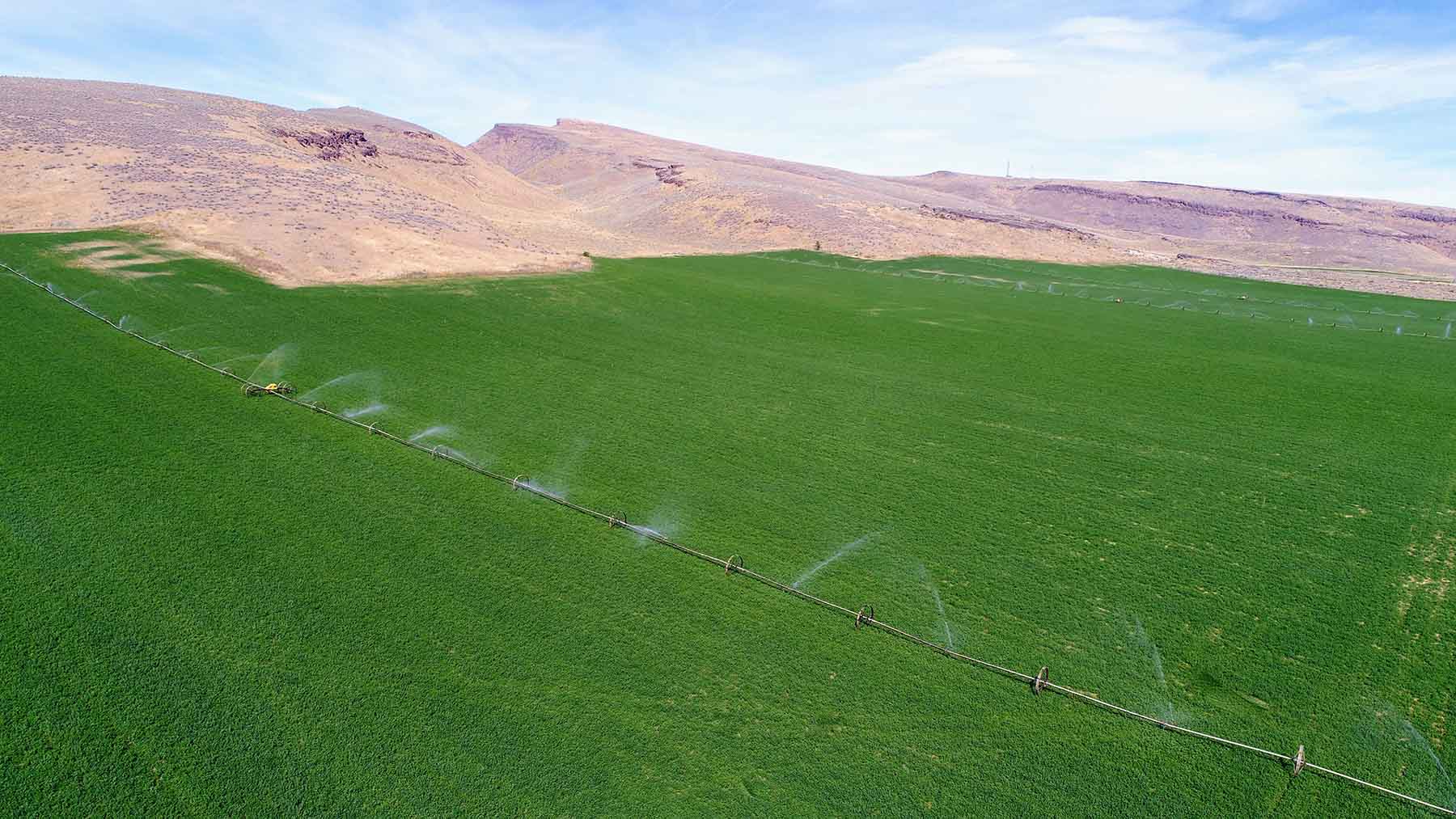 North Renegade Ranch property picture 42 of 78