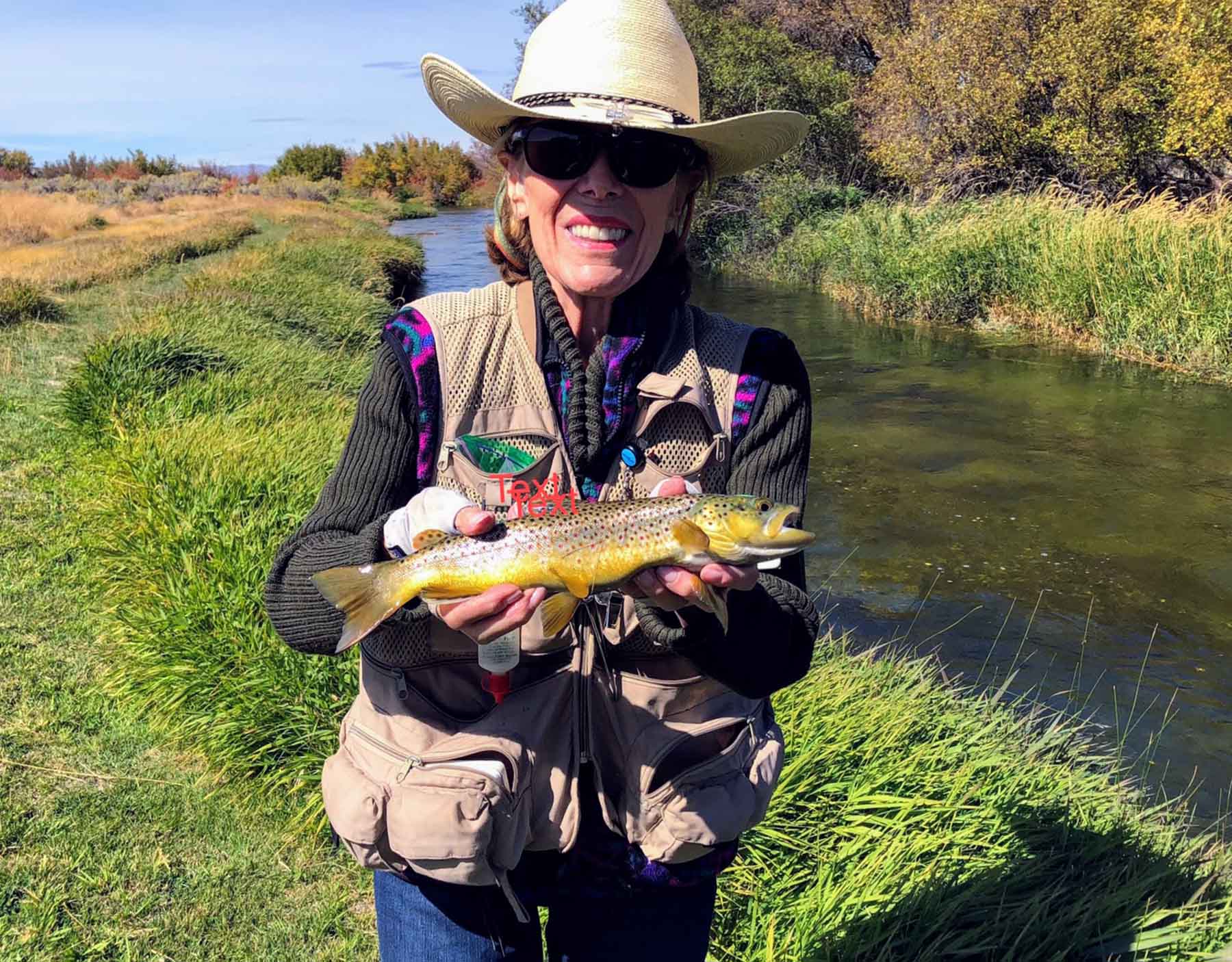 North Renegade Ranch property picture 52 of 78