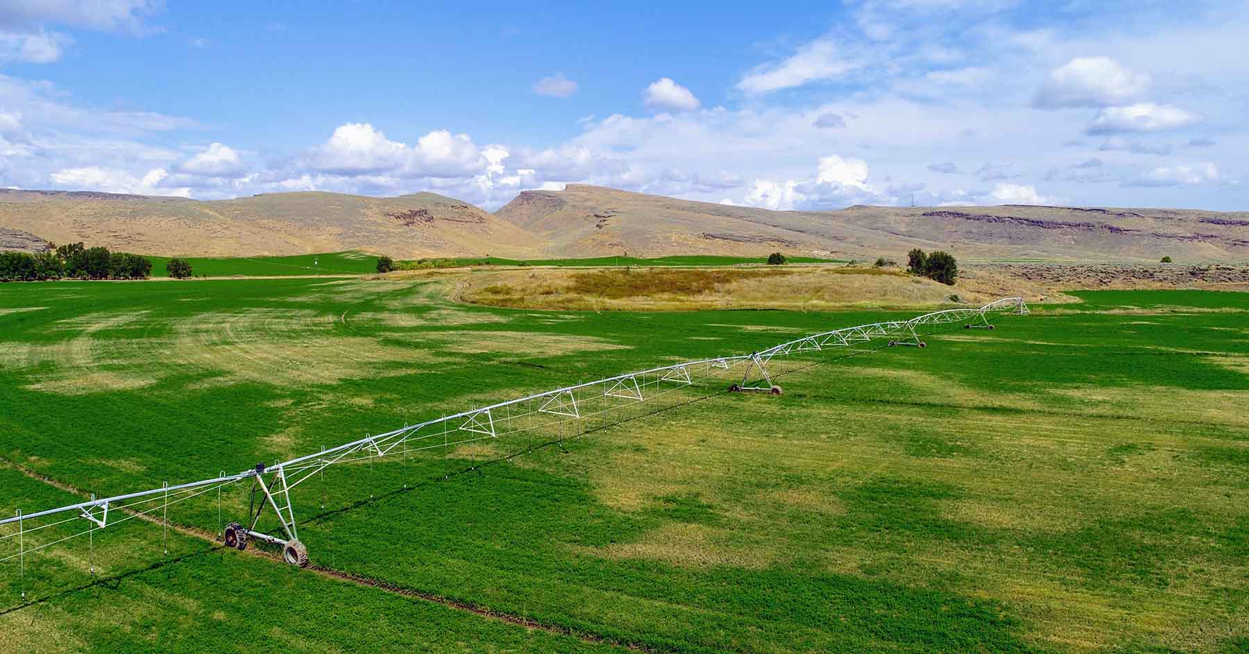 North Renegade Ranch property picture 43 of 78